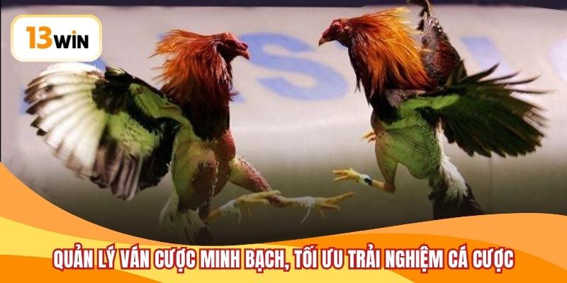 Quản lý ván cược minh bạch, tối ưu trải nghiệm cá cược